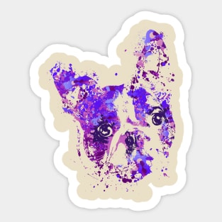 Boston Terrier Sticker